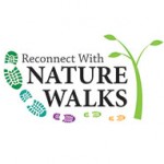 reconnect with nature
