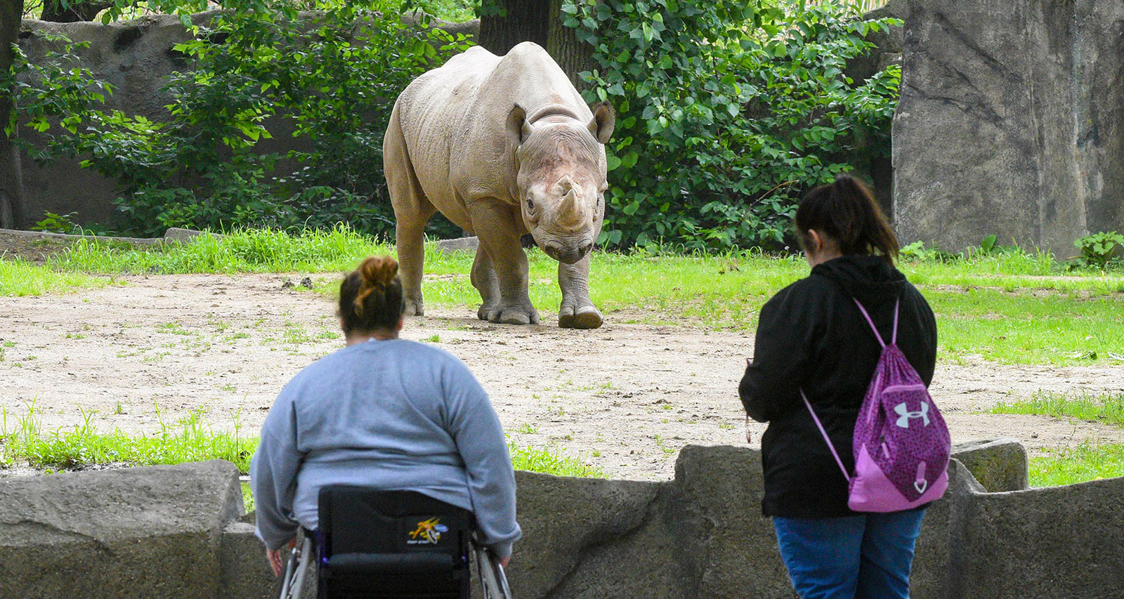 Photo: Itineraries-Hero-Brookfield-Zoo-Credit-CZS.jpg